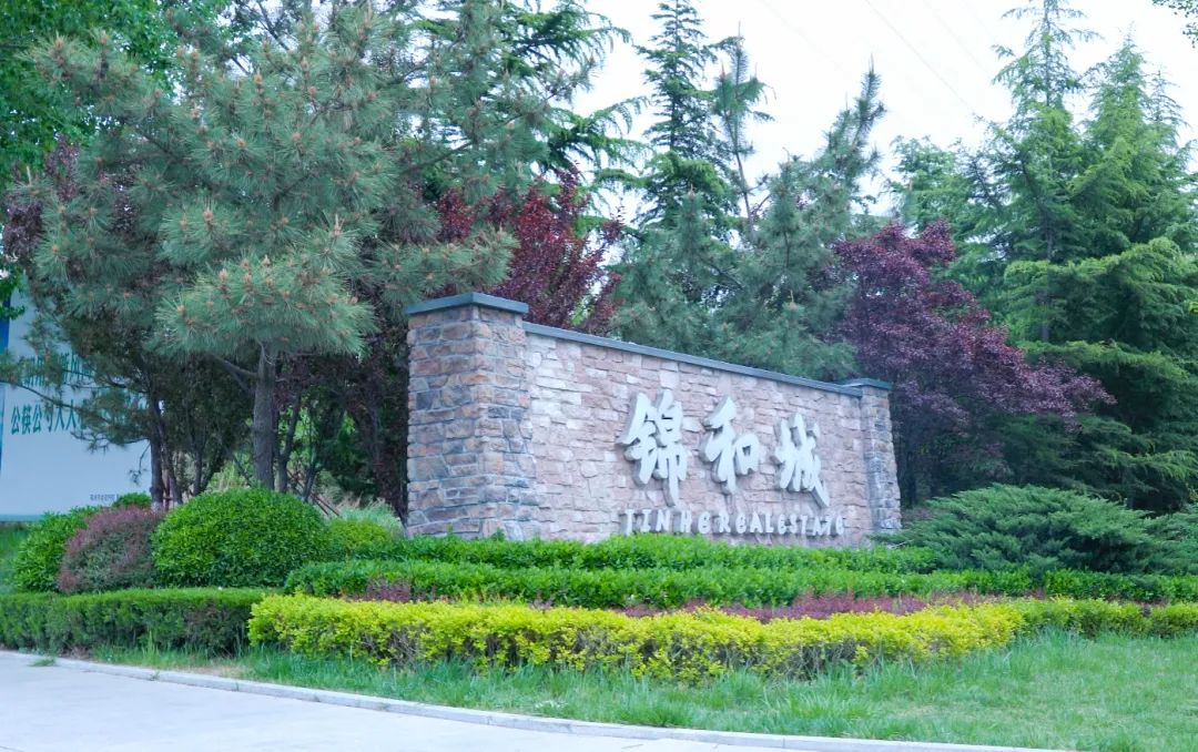 冠军国际网(中国游)官方网站