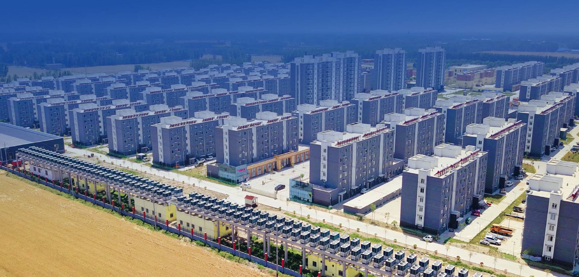 冠军国际网(中国游)官方网站