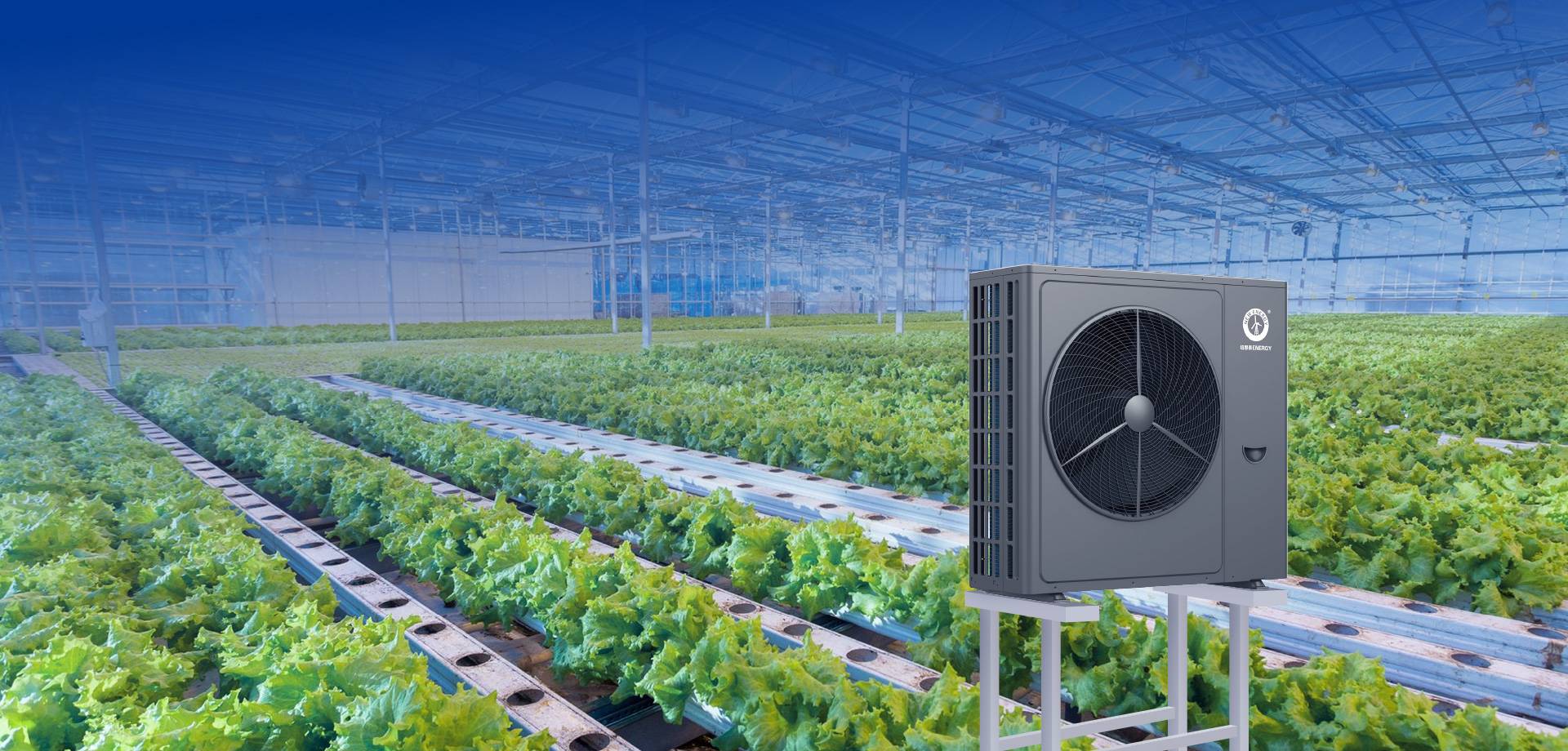 冠军国际网(中国游)官方网站