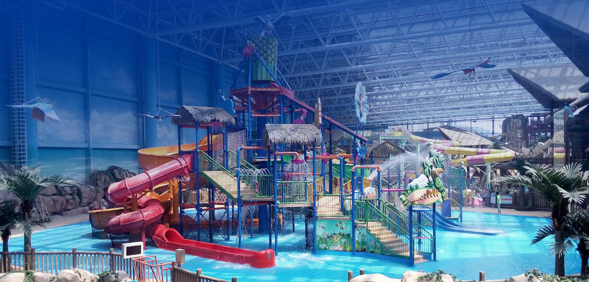 冠军国际网(中国游)官方网站