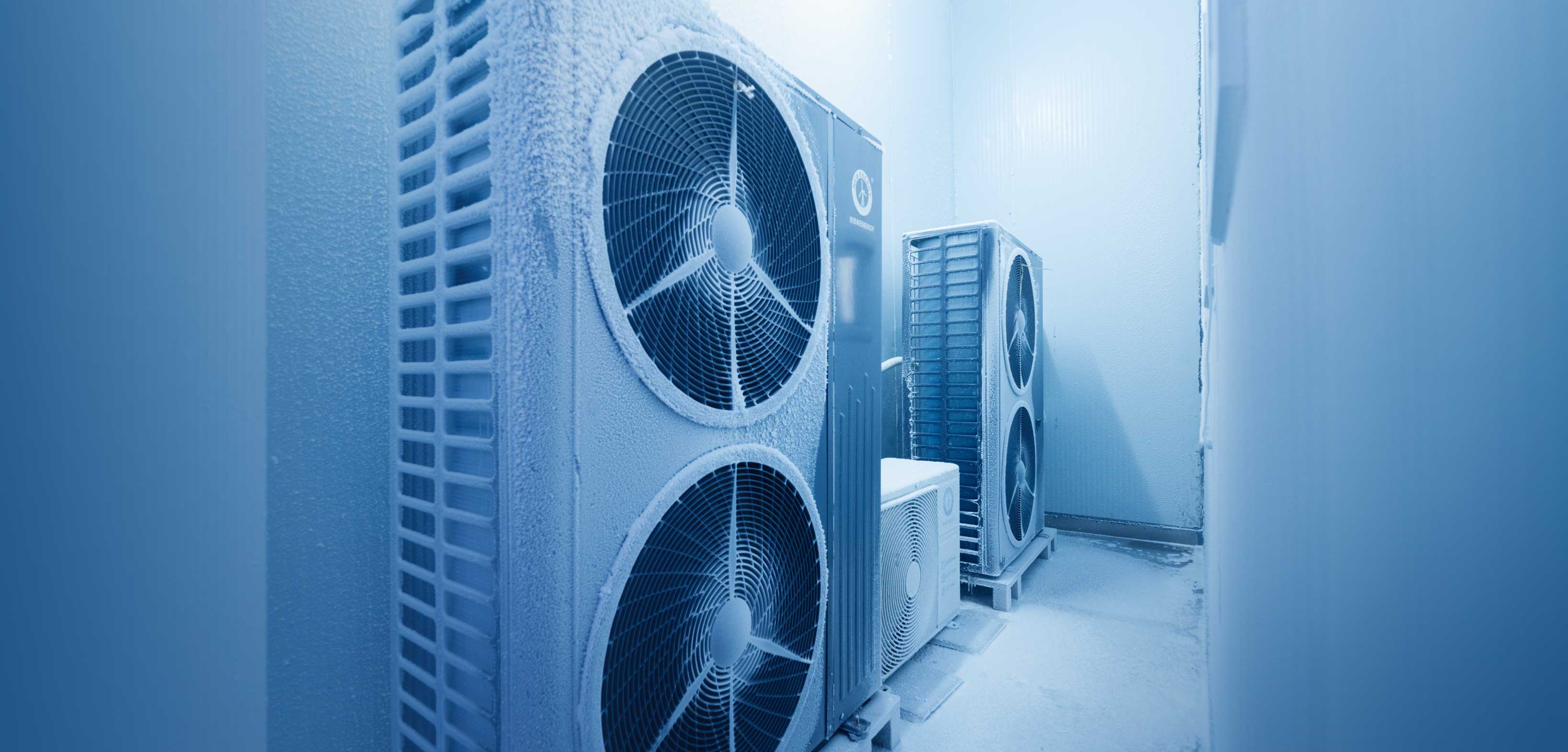 冠军国际网(中国游)官方网站