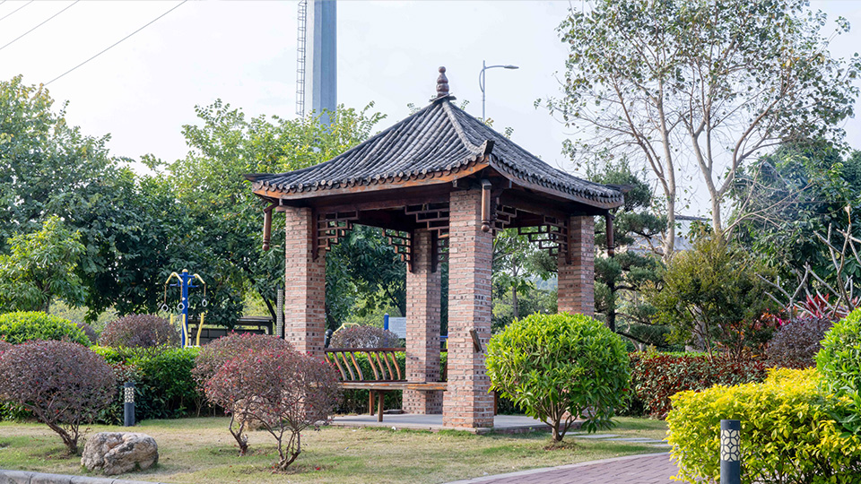 冠军国际网(中国游)官方网站